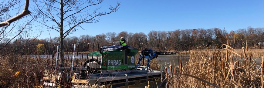 Phragmites Removal Machine