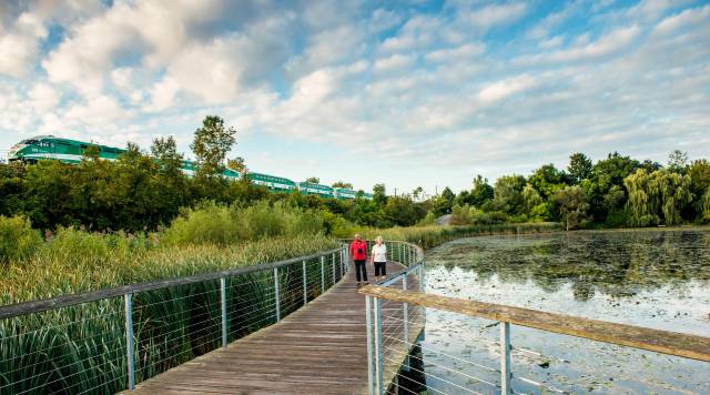 Rouge Marsh boardwalk