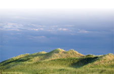 To maintain the balance of nature, we must all be attentive to the impact we have on it.