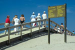 At designated beach access points, boardwalks or matting help to direct people to the beach.