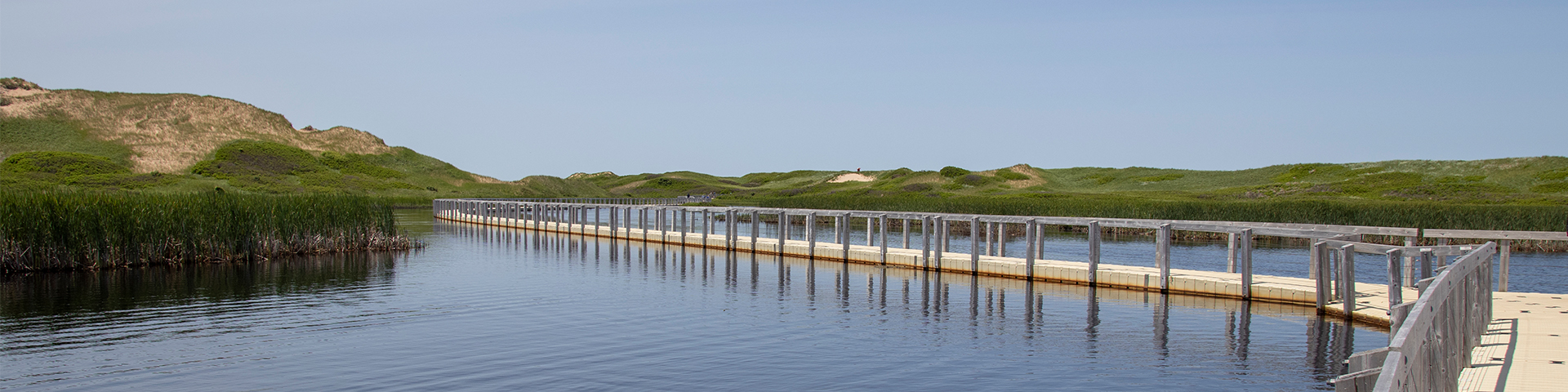 The floating boardwalk at Greenwich surrounded by dunes.