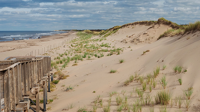 A wooden ramp leads down to a white sandy beach with sand dunes, lightly covered by green grasses against a blue sky with a few clouds