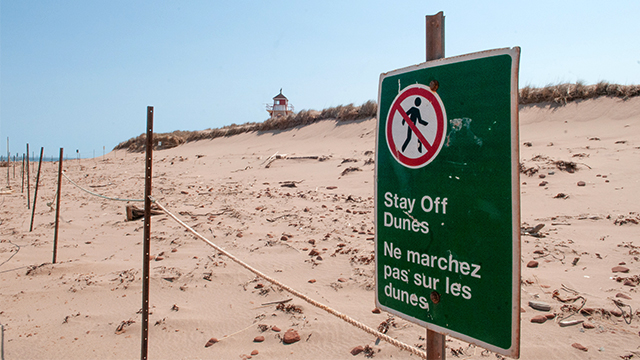 Panneau de récupération des dunes sur la plage du phare de Covehead