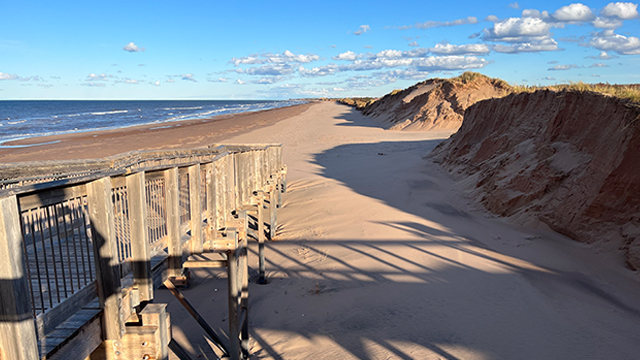 A wooden ramp leads down to a vast beach.  Sand dunes seem cut away and appear as sharp cliffs of sand against a bright blue sky. 