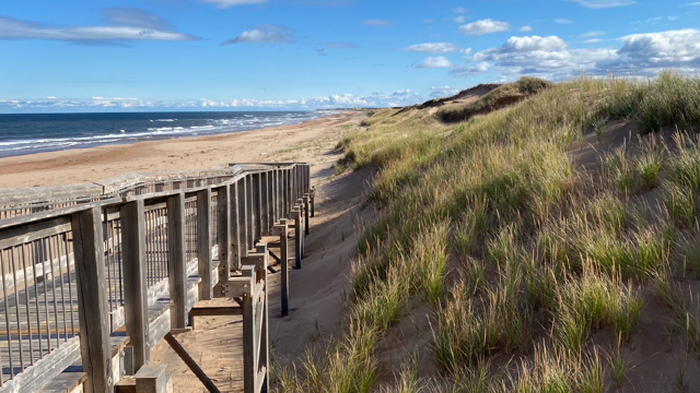 A wooden ramp leads down to a beach surrounded by sand dunes covered in green grasses.  There is a bright blue ski with a few clouds. 