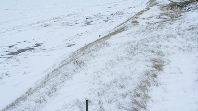 A long snow covered beach with some brown grasses sticking up through the snow.  