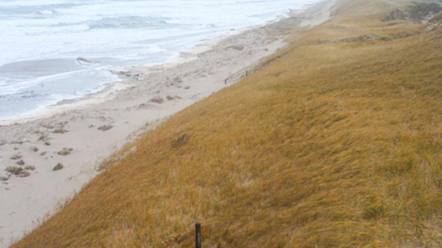 A long beach with brown grasses and grey sky. 