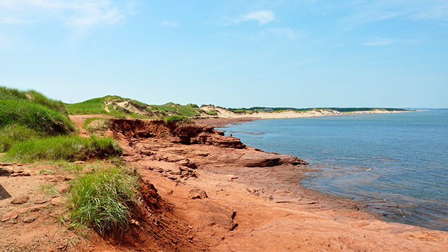 Côte à la plage de Cavendish