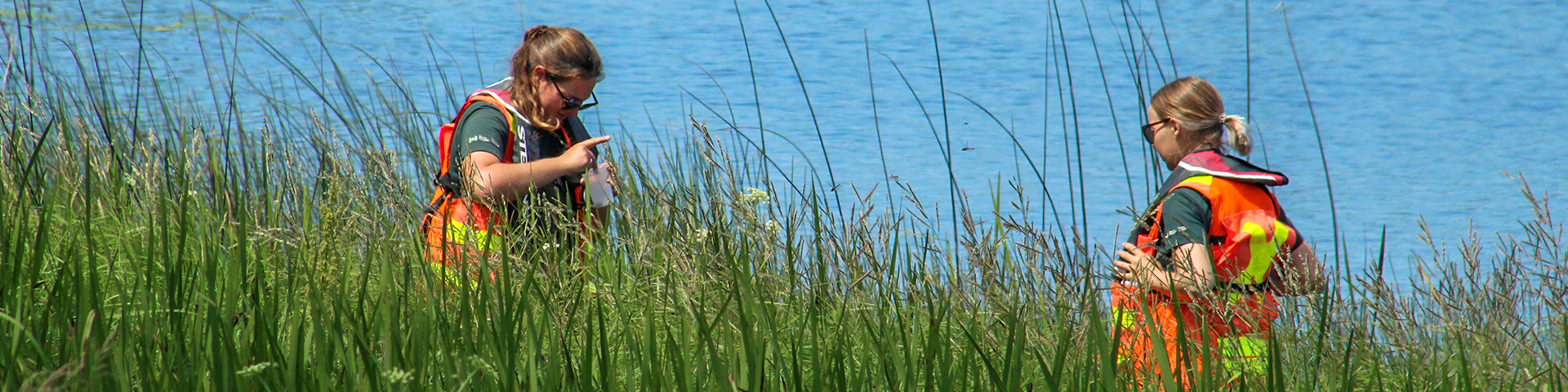 Two parkies taking samples from a grassy area by the water