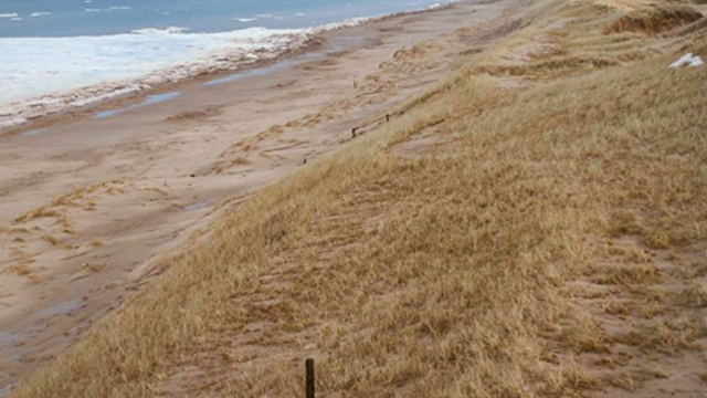 A long beach with brown grasses and grey sky. 