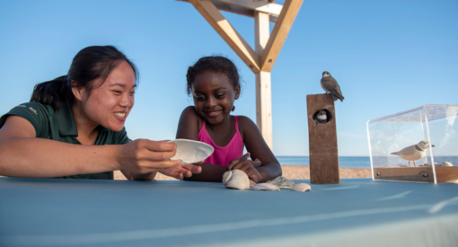 A Parkie shows a young visitor a shell from the beach.