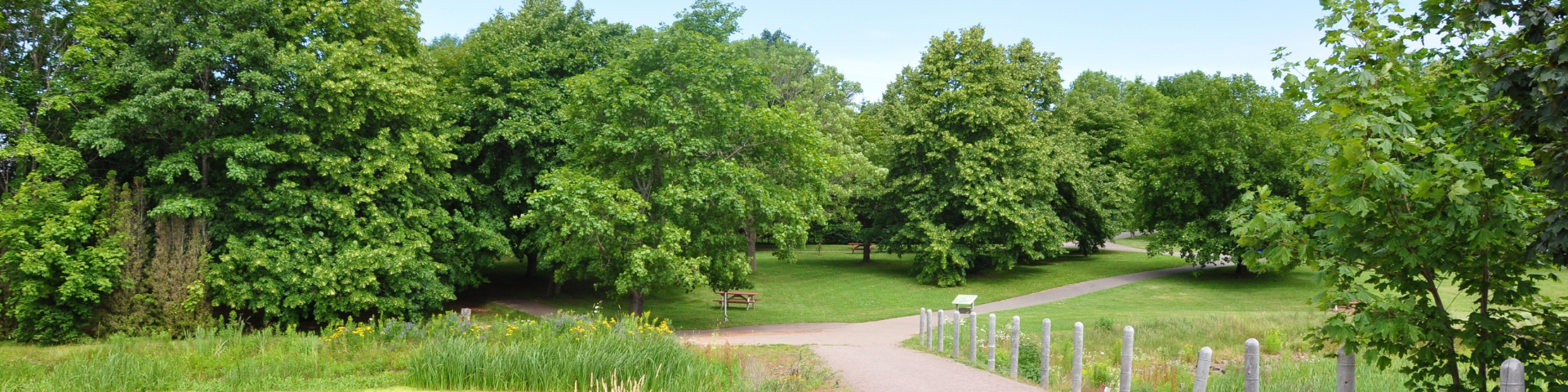 Cavendish Grove Trail