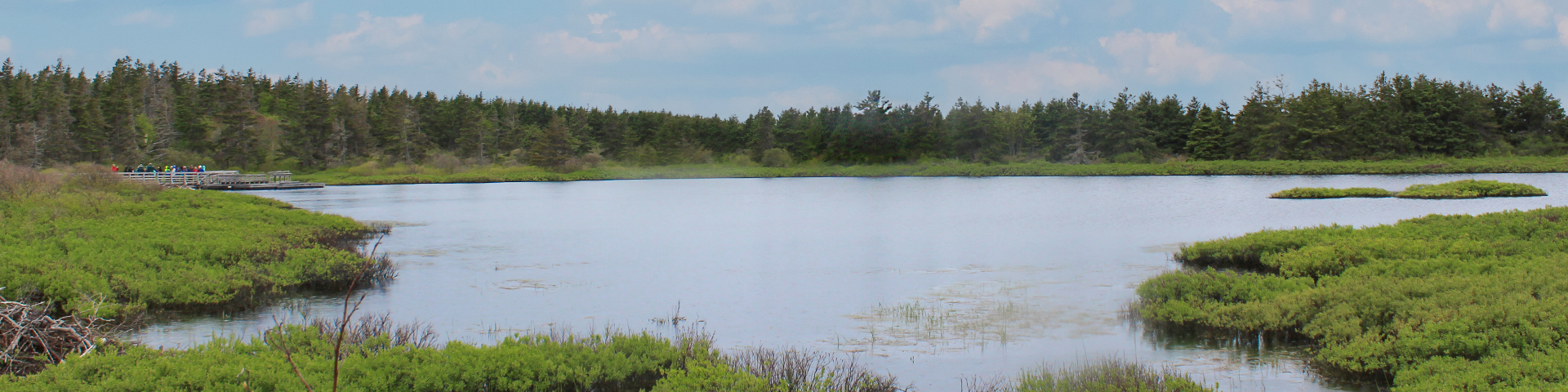 A dock looks over a pond surrounded by trees at PEI National Park.