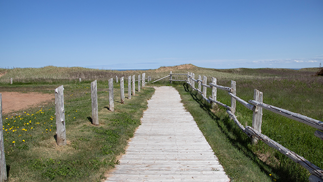 Une passerelle en bois, bordée de clôtures rustiques, s'étend à travers les dunes herbeuses sous un ciel bleu limpide.