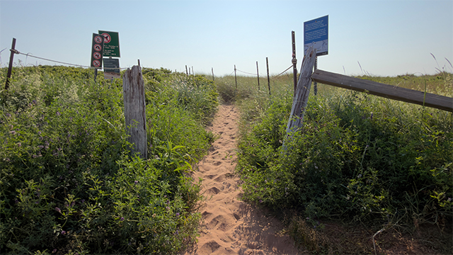 Un étroit sentier de sable qui traverse une végétation dense et verdoyante, bordé de poteaux en bois et de panneaux d'avertissement de chaque côté, sous un ciel dégagé.