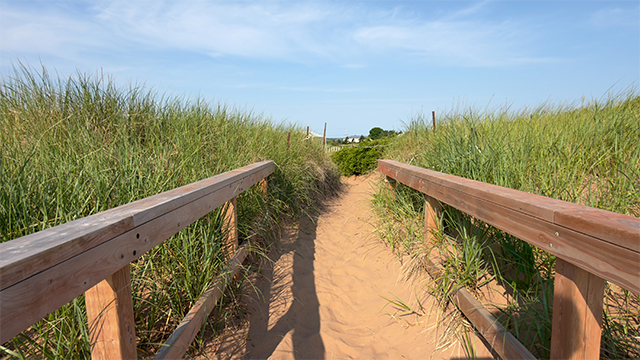 Un sentier de sable bordé de hautes herbes vertes de plage, avec des balustrades en bois menant vers des maisons lointaines sous un ciel bleu.