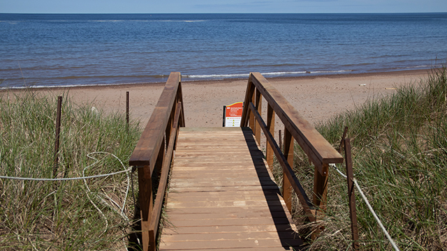 Une passerelle en bois dotée de balustrades qui traverse les dunes verdoyantes pour mener à une plage de sable paisible où viennent mourir les douces vagues de l'océan.