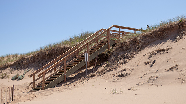 Un escalier en bois menant au sommet d'une dune de sable recouverte d'herbe, sous un ciel bleu limpide.