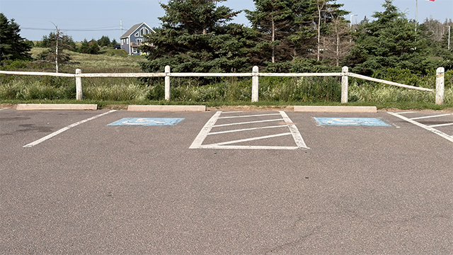 Parking vide avec deux places réservées aux personnes à mobilité réduite, délimitées à la peinture bleue, près d'un espace vert et d'arbres.