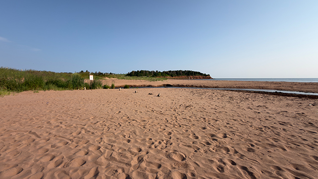Une grande plage de sable parsemée d'empreintes de pas menant aux eaux calmes de l'océan, sous un ciel bleu limpide.