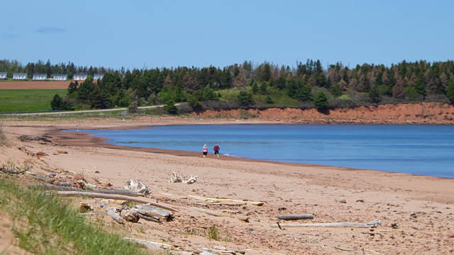 Une plage de sable entourée d'arbres à la végétation luxuriante et de champs au loin. Au loin, un couple se promène au bord d'une mer d'un bleu profond.