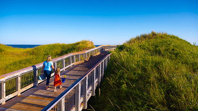 A parent and child walk across a wooden boardwalk over grass topped sand dunes on a sunny day