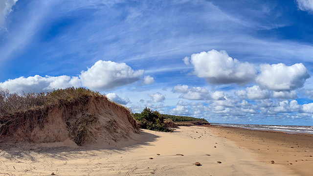 PEI National Park sand dunes