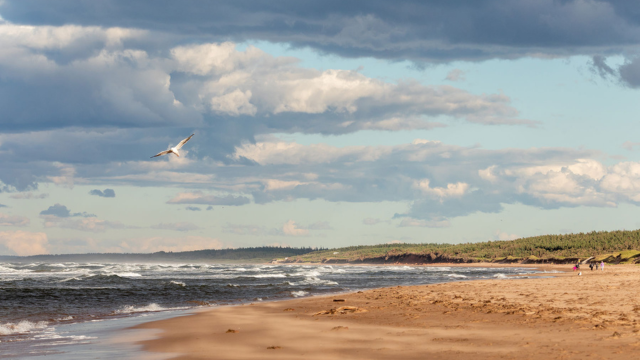 beige sand, sand dunes covered in green grasses, blue skies with clouds and white capped waves. 