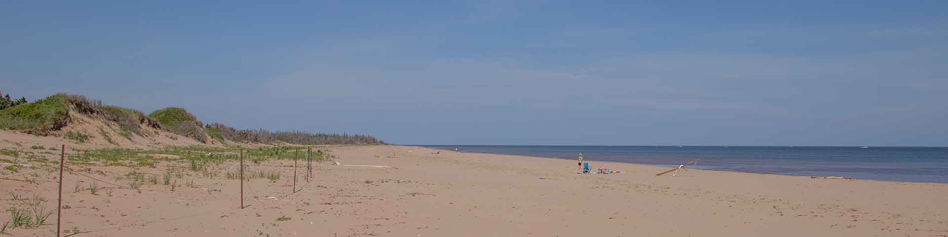 A view of sand dunes at the beach and calm blue water