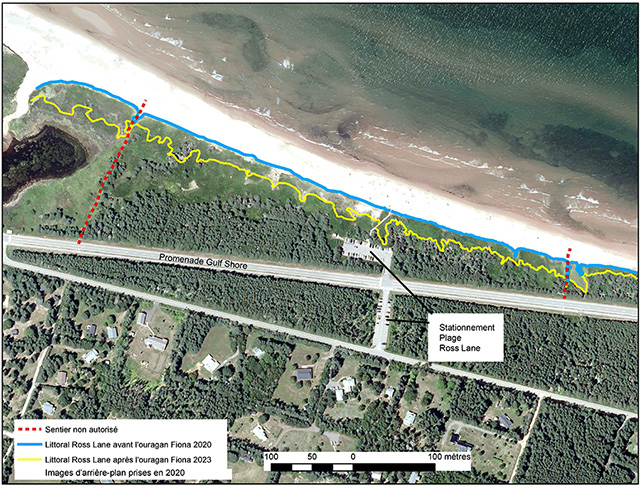 Carte aérienne de Ross lane.  Les lignes rouges en pointillés indiquent deux sentiers non autorisés qui traversent les arbres pour accéder à la plage. Le long du littoral, des lignes bleues et jaunes montrent l'érosion du littoral entre 2020 et 2023.