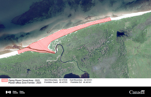 Aerial map of the beach in Greenwich.  Red grid pattern marks the section of the beach that is closed for Plover protection.  The area is located at the outflow from Schooners Pond.