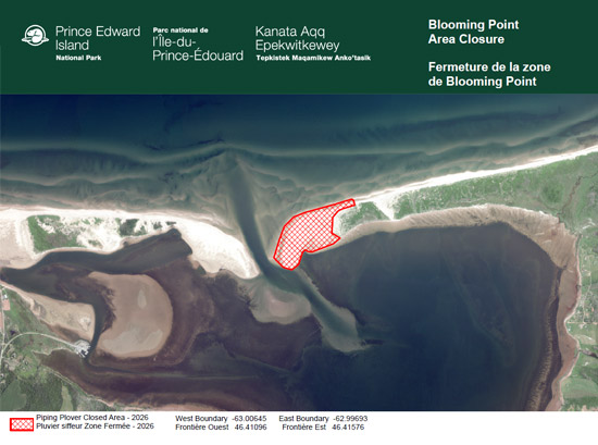 Carte topographique de Blooming Point. Motif hachuré rouge marquant le cordon sablonneux, de la baie de Tracadie au golfe du Saint-Laurent, entre les points de coordonnées suivantes: longitude -63.00645; latitude 46.41096 et -62.99693; latitude 46.41576, jusqu’à la marée haute moyenne.