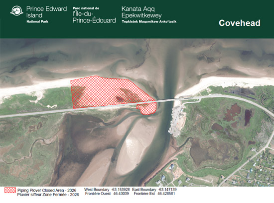 Carte topographique de la zone fermée du Pluvier siffleur à Covehead (Île-du-Prince-Édouard).