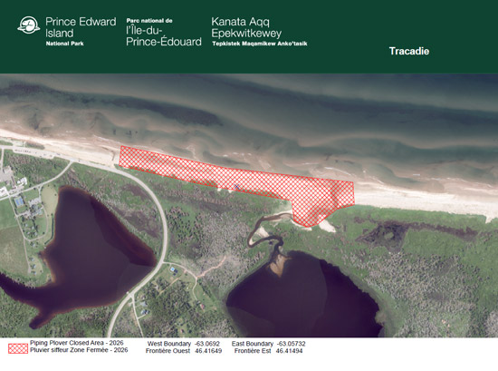 Carte topographique du secteur de la plage de Tracadie avec des marques hachurées rouges aux coordonnées suivantes : à l’ouest, longitude -63.0692 et latitude 46.41649, et à l’est, longitude -63.05732 et latitude 46.41494 jusqu’à la moyenne marée basse.