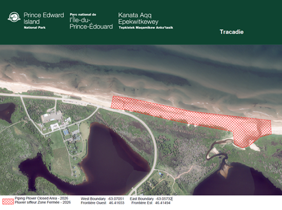 Carte topographique du secteur de la plage de Tracadie avec des marques hachurées rouges aux coordonnées suivantes : à l’ouest, longitude -63.07051 et latitude 46.41653, et à l’est, longitude -63.05732 et latitude 46.41494 jusqu’à la moyenne marée basse.