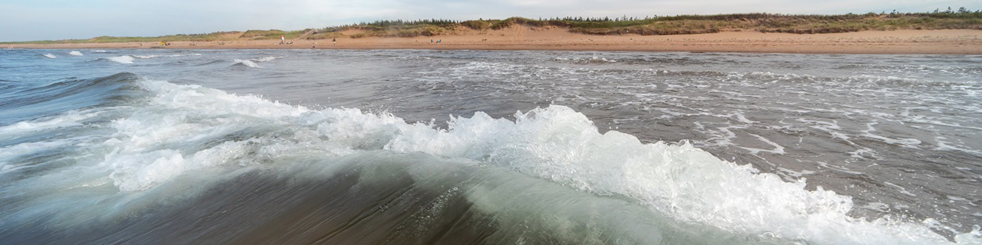 les vagues sur la plage