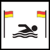 Swim between the flags icon