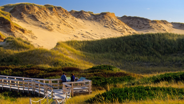 Greenwich Dunes Trail