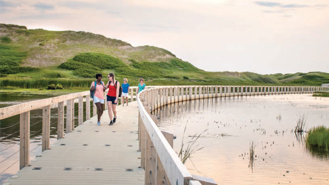 Several visitors walking along the floating boardwalk in Greenwich. Rolling sand dunes covered in grass in the background