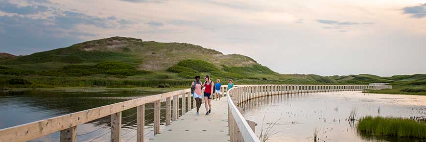 Four hikers walk on the floating boardwalk in Greenwich, PEI National Park, with bright green dunes behind them. 