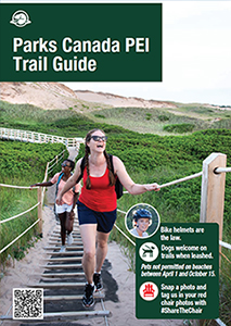 Two youth walk along a sandy trail with ropes through lush green sand dunes and bright blue skies.