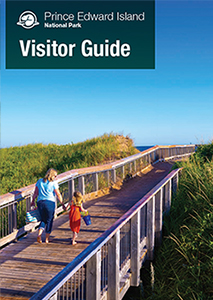 A woman and small child walk along a wooden boardwalk over lush green sand dunes with bright blue skies.