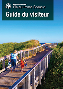 Une femme et un jeune enfant marchent sur une passerelle en bois au-dessus de dunes verdoyantes sous un ciel d'un bleu éclatant.