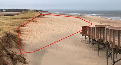 Dunes reforming on Cavendish Beach