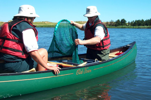 A healthy ecosystem has all of its parts intact along with its natural processes and functions.