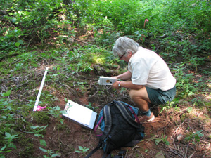 The goal is to sustain healthy, diverse woodlands that become  increasingly representative of mature Acadian forest.