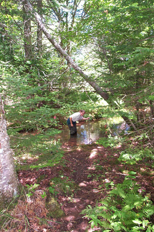 Many small streams and freshwater ponds are nestled inside the boundaries of Prince Edward Island National Park.