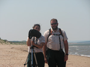 Caption: Parks Canada has been monitoring piping plover populations in Prince  Edward Island National Park since 1982.