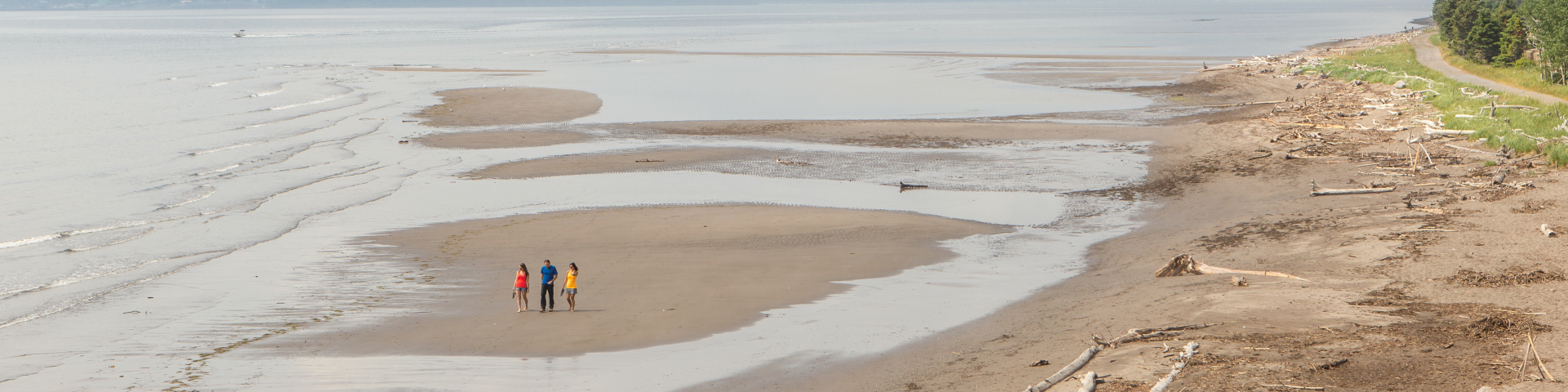 Trois personnes marchent sur un banc de sable près de la plage.