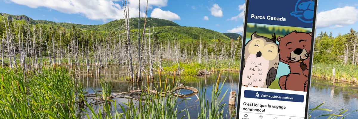 Étang de castor avec visuel de l'appli mobile en superposition.